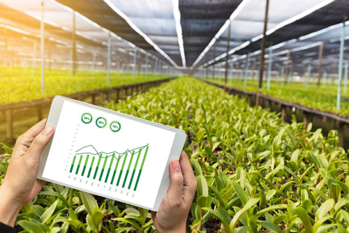 Blockchain In Agriculture And Food Supply Chain Global Market Report 2021: COVID-19 Growth And Change